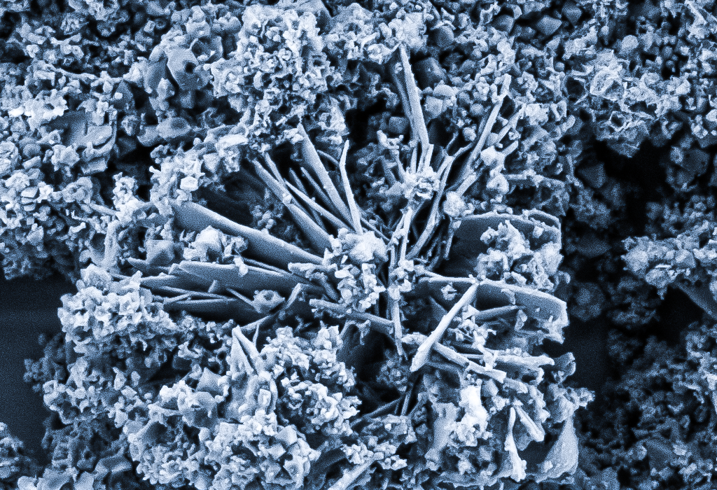 SEM image of hierarchically porous material
